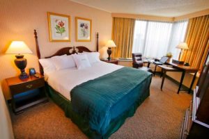 hotels12 7 300x200